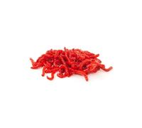 (Large 2.5cm - 100ml - 10 Pack) Swell UK Live Bloodworm Aquarium Fish Food 10 Pack