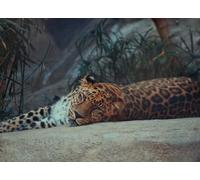 Large 2000 Piece Jigsaw Puzzle for Adults - Beautiful Cloud - Every Piece is Unique, Softclick Technology Means Pieces Are 70x100cm