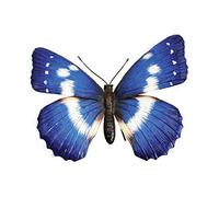 Large 3D Metal Blue Butterfly Garden Outdoor Decorative Garden Piece Ornament