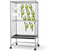 Large 52 Inch Bird Cage with Stand - Steel Flight Cage for African Grey, Cockatiel, Amazon, Conure & Pigeons - Spacious Wrought Iron Standing Aviary (31 x 20 x 52 Inch)