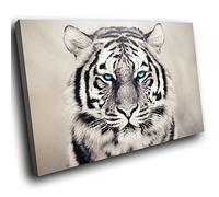 Large A251EE Framed Canvas Print - Modern Wall Art - HD Quality Picture - 100% Guaranteed - White Bengal Tiger Teal Eyes - Living & Bedroom Home Décor with Easy Hang Guide - 90cm x 60cm - WOYW