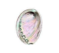 Large Abalone Shell Bowl 4-4.5 Inch, Natural Smudge Bowl for Sage Burning and Incense, Sea Shell Smudging Bowl for Decor and Display