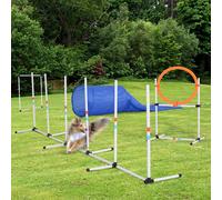 Large Agility Dog Obstacle Course With Carry Bag by Pawhut