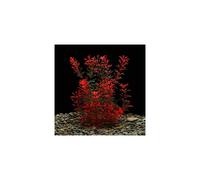 Large Aquarium Plants Artificial Plastic Fish Tank Plants Decoration Ornament Safe for All Fish 30cm x 10cm - Red