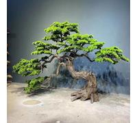 Large Artificial Bonsai Tree - Faux Podocarpus Tree Indoor, Realistic Guest-Greeting Pine Tree for Home Living Room Office Bedroom Decor Housewarming Gift(6FT)