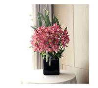 Large Artificial Floral Bonsai, Lifelike Cymbidium Bonsai with Leaves in Vase, Elegant Red Phalaenopsis Flowers Arrangement for Wedding Party/Festival for House Table Office Desk Decor