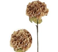 Large Artificial Hydrangea Flower Stem, Realistic Silk Dried Touch Ruffled Brown Hydrangea Stem, Tall Faux Flower, Realistic Dark Cream Flower, Beige Fake Flower, Cappuccino Hydrangea Flower Head