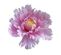 Large Artificial Peony Bloom 30cm Silk Touch Decor(pink)