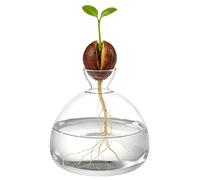 Large Avocado Vase, Glass Avocado Pit Starter Vase for Hydroponics, Witness Seed Germination, Root Growth with Transparent Planter, Unique Home Decor, 5.9 x 5.9 x 1.8 in