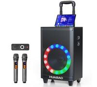 Large Bluetooth Karaoke Speaker with 2 Wireless Microphones, 11 Speaker System with 8800mAh Battery, Trolley PA System with Lights, Remote, FM/AUX/USB/TF, Bass & Treble Adjust, Ideal for Outdoor Party