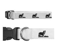 Large 'Border Collie Dog on Grass' Dog Collar (PR00064392)