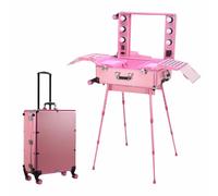 Large Capacity Cosmetic Suitcase, Acrylic HD Mirror + Hidden Stand and Wheels, LED Light, Portable Foldable Travel Case for Makeup Artists and Beauticians,Pink
