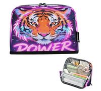 Large Capacity Pencil Case Organizer 8.3x5.9in Strong Big Cat Nebula Pen Pouch for School Office Travel