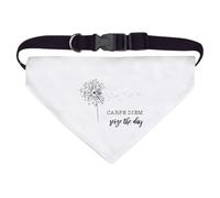 Large 'Carpe Diem: Seize The Day' Dog/Cat/Pet Bandana (PD00063836)
