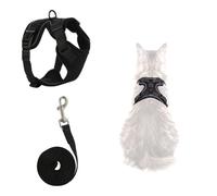 Large Cat Harness and Leash Set for Maine Coon Cats, Adjustable Black | Breathable mesh and reflective trim support comfortable walks, travel and outdoor control with secure buckles and D-ring.
