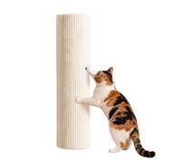Large Cat Scratching Post Wall Sign Climbing Sticker