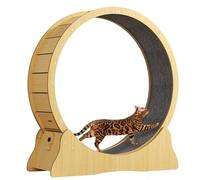 Large Cat Wheel 39.4 Inch for Indoor Cats - Exercise Wheel With Carpeted Runway for Weight Loss & Health - Running Treadmill for Kitty Lovers