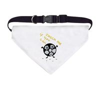 Large 'Catch Me If You Can' Dog/Cat/Pet Bandana (PD00060484)