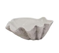 Large Ceramic Adele Shell Bowl - Ceramic - L40 x W40 x H16 cm - White