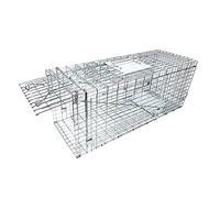 Large Collapsible Humane Live Animal Cage Trap No-Kill Trapping Kit for Humane Catch Release Rabbits, Stray Cat, Squirrel, Raccoon, All Fit Sized Animals, Heavy Duty, 2-Door 31"x11.5"x12.5"
