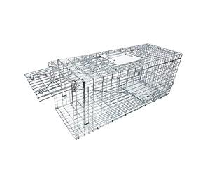 Large Collapsible Humane Live Animal Cage Trap No-Kill Trapping Kit for Humane Catch Release Rabbits, Stray Cat, Squirrel, Raccoon, All Fit Sized Animals, Heavy Duty, 2-Door 31"x11.5"x12.5"