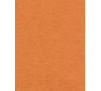 LARGE COLORFUL NOTEBOOK: RULED NOTE BOOK FOR TRAVELERS,STUDENTS AND OFFICE COMPOSITION DIARY 80 PAGES 8.5*11 INCH