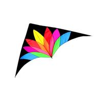 Large, Colorful, Single-line, As A Birthday Present on The
