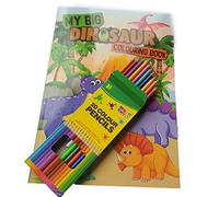 Large Colouring Books with Stickers Colouring Pencils Included Choose a Theme Pets Dinosaurs Ballet Princess Superhero (Dinosaurs)