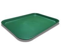 Large Commercial Fast Food Serving Takeaway Tray 530 x 370mm (Green)