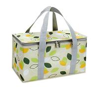 Large Cool Bag Box, Insulated Picnic Lunch Bag, Picnic Basket with Sturdy Handles and Zippered for Outdoor Activities, Travel, Beach, Camping (Green)