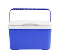 Large Cooler | 6L Leak-Resistant Insulated Box - Big Cooler with Handle | for Outdoor Automotive Camping Hiking Travel Business Trip Picnic