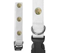 Large 'Cute Cauliflower Sheep' Dog Collar (PR00062372)