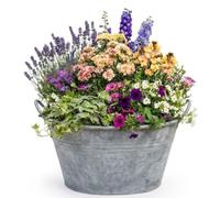 Large Decorative Round Vintage Galvanised Metal Pan Tub Flower Pot | Decorative Zinc Flower Planter & Rustic Outdoor Trough With Ear Handles