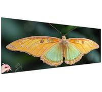 Large Diamond Art for Adults 270x90cm Butterfly 5D Diamond Painting Kits for Adults Full Round Drill Crystal Gem Art Kits DIY Modern Dimond Painting Embroidery Crafts Autumn Decor Gifts for Women O-13