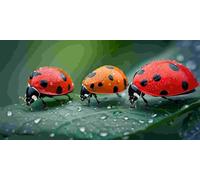 Large Diamond Art Kits Adults, Ladybug 5D Diamond Painting for Kids Crystal Gem Art Round Full Drill Canvas Painting DIY Cross Stitch Crafts Home Wall Room Decoration, Gifts for Women 10x20 inch a-735
