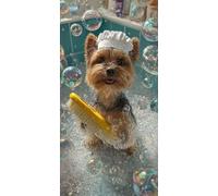 Large Diamond Art Kits for Adults Animal 60x120cm/24x48in Full Drill Round Rhinestone Big Diamond Painting Kit Dog, Gem Art Cross Stitch Embroidery Canvas for Crafts Home Wall Decor Gifts Women f0j117