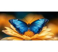 Large Diamond Art Kits for Adults Butterfly 50x100cm/20x40in Full Drill Round Rhinestone Big Diamond Painting Kit Chrysanthemum, Gem Art Cross Stitch Embroidery Canvas for Crafts Home Decor f0j-980