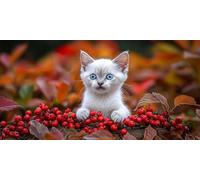 Large Diamond Art Kits for Adults Fruit 50x100cm/20x40in Full Drill Round Rhinestone Big Diamond Painting Kit Cat, Gem Art Cross Stitch Embroidery Canvas for Crafts Home Wall Decor Gifts Women f0j1165