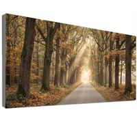 Large Diamond Painting Kits for Adults Tree, 5D Full Drill Forest Diamond Art Kits Adults, Premium DIY Crystal Rhinestone Cross Stitch Craft for Stress Relief Hobby & Home Wall Decor 40x70cm C6-395