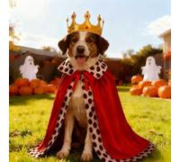 Large Dog King Costume Accessories with Red Cape & Crown, Funny Halloween Christmas Party Outfit for Big Giant Breed Dogs, Royal King Cloak Cape for Cosplay, Photo Props, Pet Dress Up for Adults Dogs