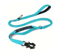 Large Dog Leash Heavy Duty, Shock Absorbing Bungee Lead with Traffic Handle, Dual Handles & Car Safety Belt for Outdoor, 5ft Strong No Pull Leash Breeds, Teal