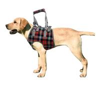 Large Dog Lift & Support Harness - Front Legs Sling for Arthritis & Paralysis Dogs (L) - Adjustable Padded Straps