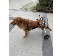 Large Dog Wheelchair for Back Legs, Adjustable Pet Cart for Disabled Dogs, Rehabilitation Walker for Injured Pets, Supportive Mobility Aid for Medium to Large Dogs