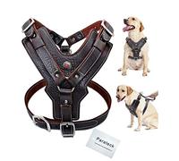 Large Dogs Genuine Leather Harness Durable Adjustable Dog Vest Harnesses Quick Control with Handle Pet Supplies for K9 Labrador (M)