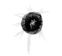 Large Down Brooch Hat Decorative Shawl Clip Fashion Evening Dress Accessories Flower Brooch