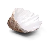Large EarthTan-White Sea Shells Decorative Bowl Resin Clam Shell Bowl Beach Decorations for Home Coastal Beach Decor Decoration Storage Bowls & Home Office Nautical Themed Party Decor -10.2"-1PC