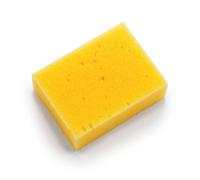 Large Economy Sponge - Lincoln