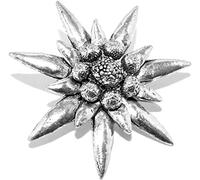 Large Edelweiss Flower Pin Badge (English Pewter Brooch in a burlap pouch)
