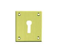 Large Escutcheon Cover Polished Brass Width 45mm Height 55mm