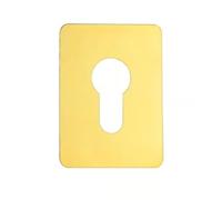Large Euro Stick On Escutcheon, Polished Brass | Self-Adhesive Backing, No Drilling Required, Wide Profile Design, Timber & Composite Doors, Architectural Metal